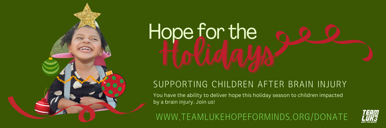 Hope for the Holidays banner